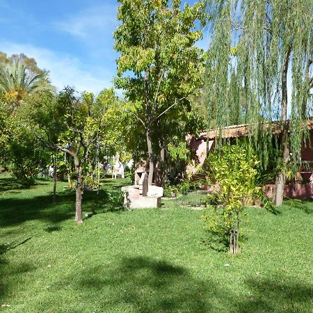 Eco Moyano Posada Gaucín Extérieur photo