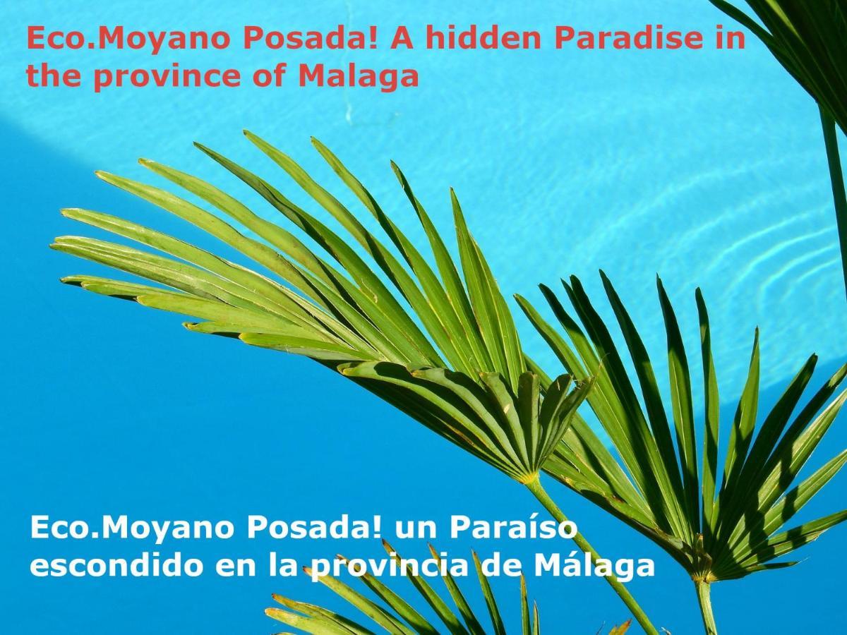 Eco Moyano Posada Gaucín Extérieur photo