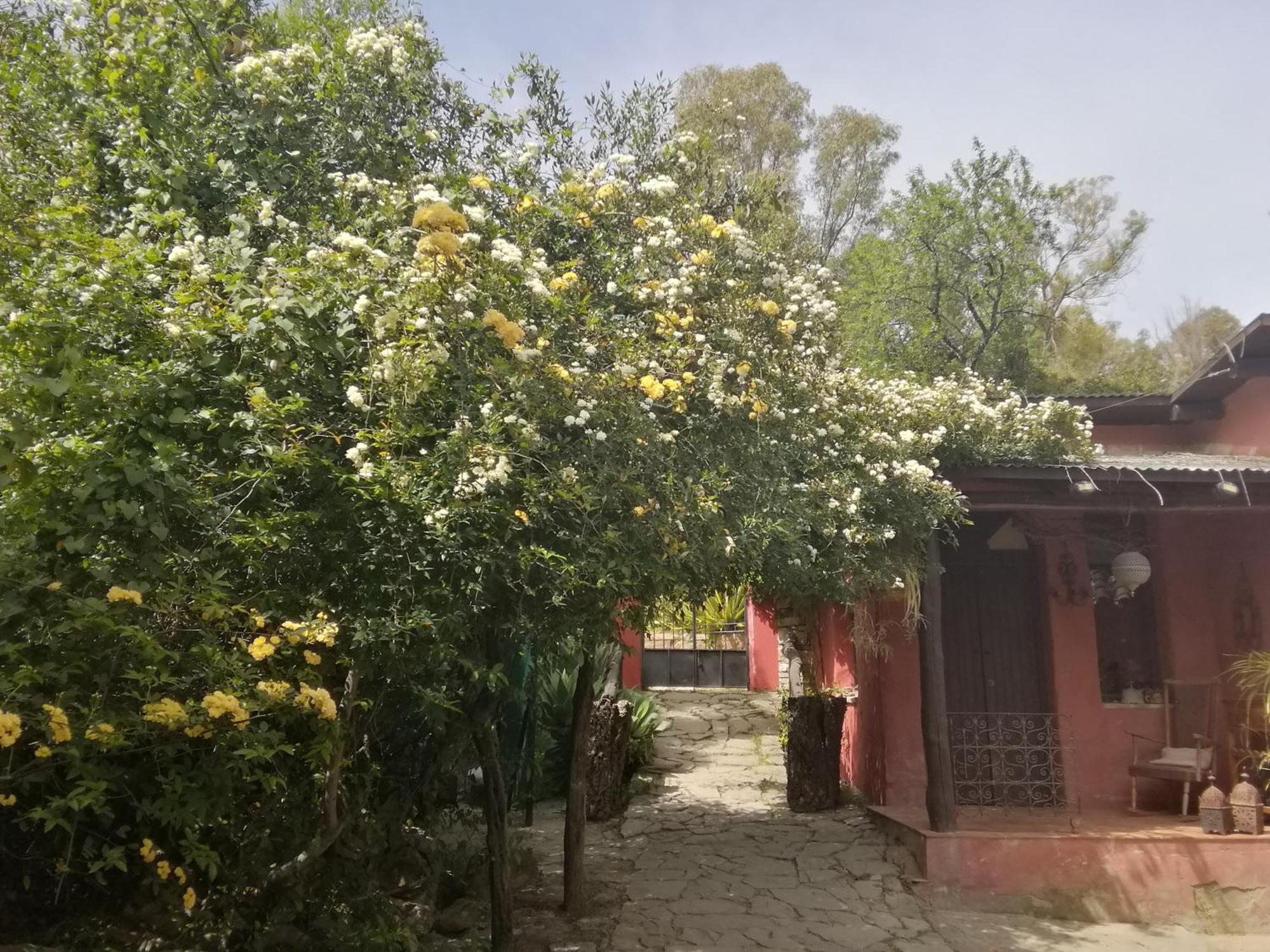 Eco Moyano Posada Gaucín Extérieur photo
