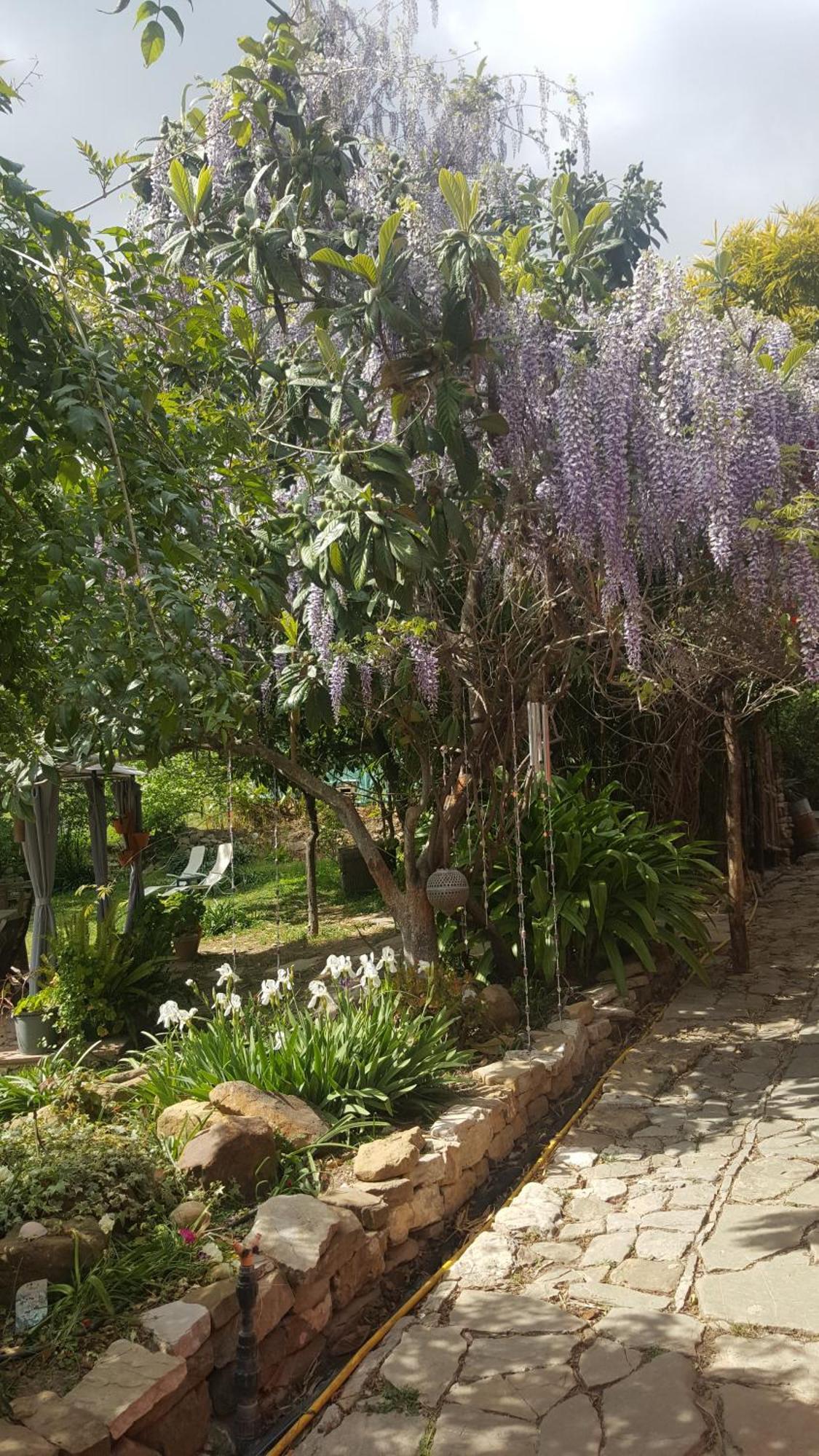 Eco Moyano Posada Gaucín Extérieur photo
